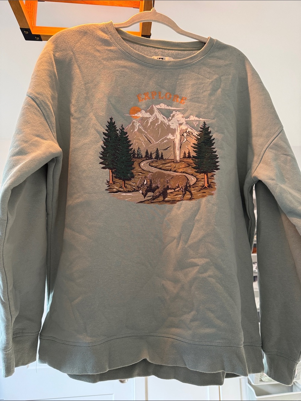 Explore Graphic Crewneck Sweatshirt in Sage Green